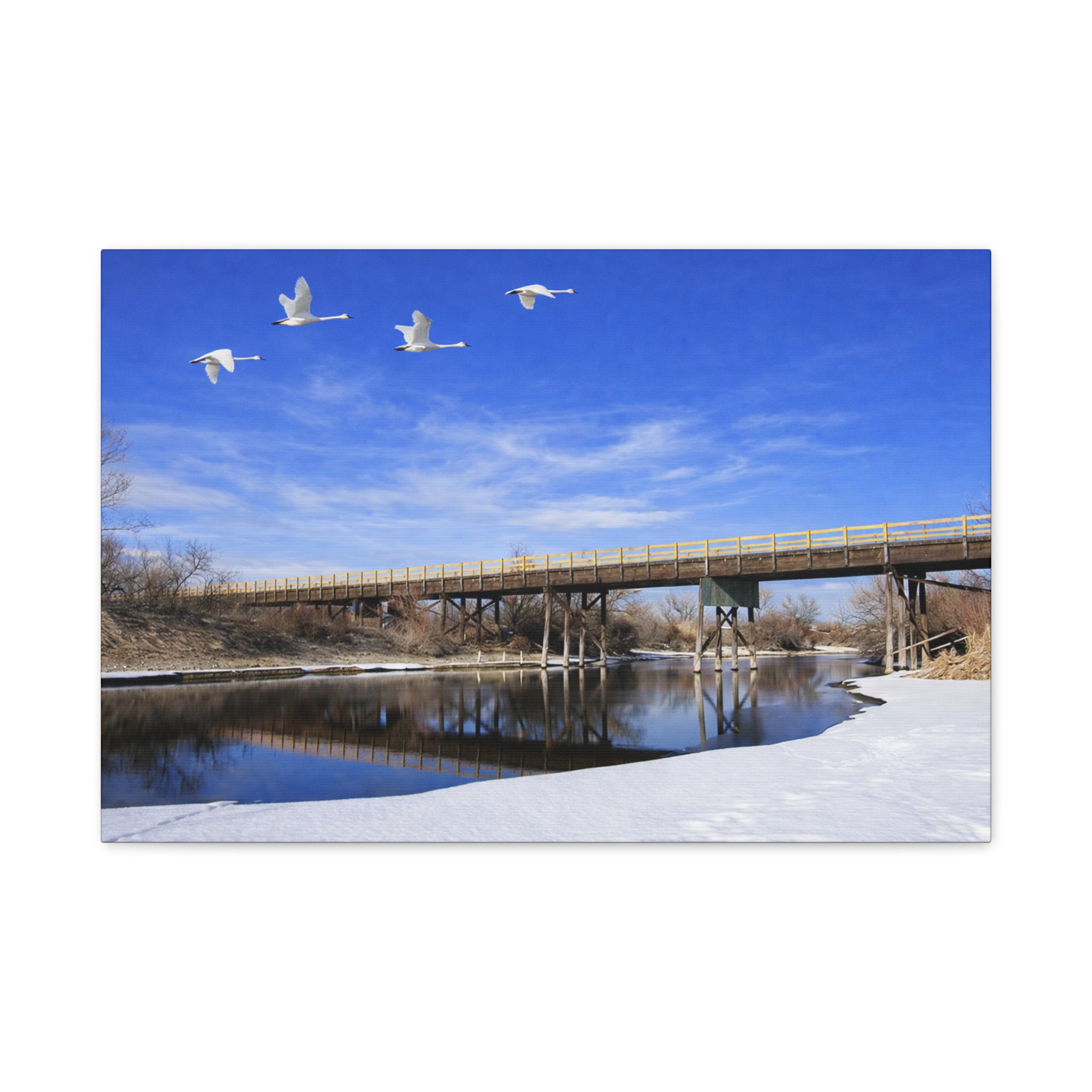 Jackson Bridge Matte Canvas, Stretched 1.25" - Scenic River & White Swans Wall Art - Customizable Nature Landscape Decor - 6 sizes