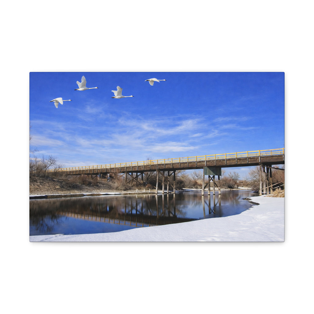 Jackson Bridge Matte Canvas, Stretched 1.25" - Scenic River & White Swans Wall Art - Customizable Nature Landscape Decor - 6 sizes