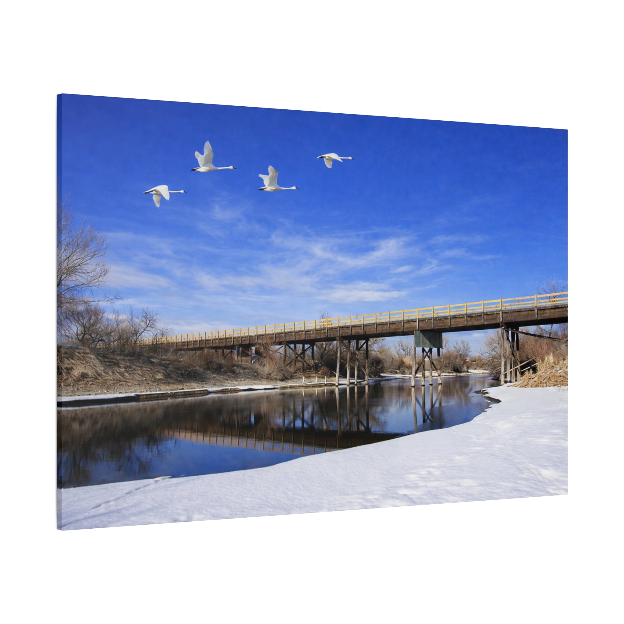 Jackson Bridge Matte Canvas, Stretched 1.25" - Scenic River & White Swans Wall Art - Customizable Nature Landscape Decor - 6 sizes