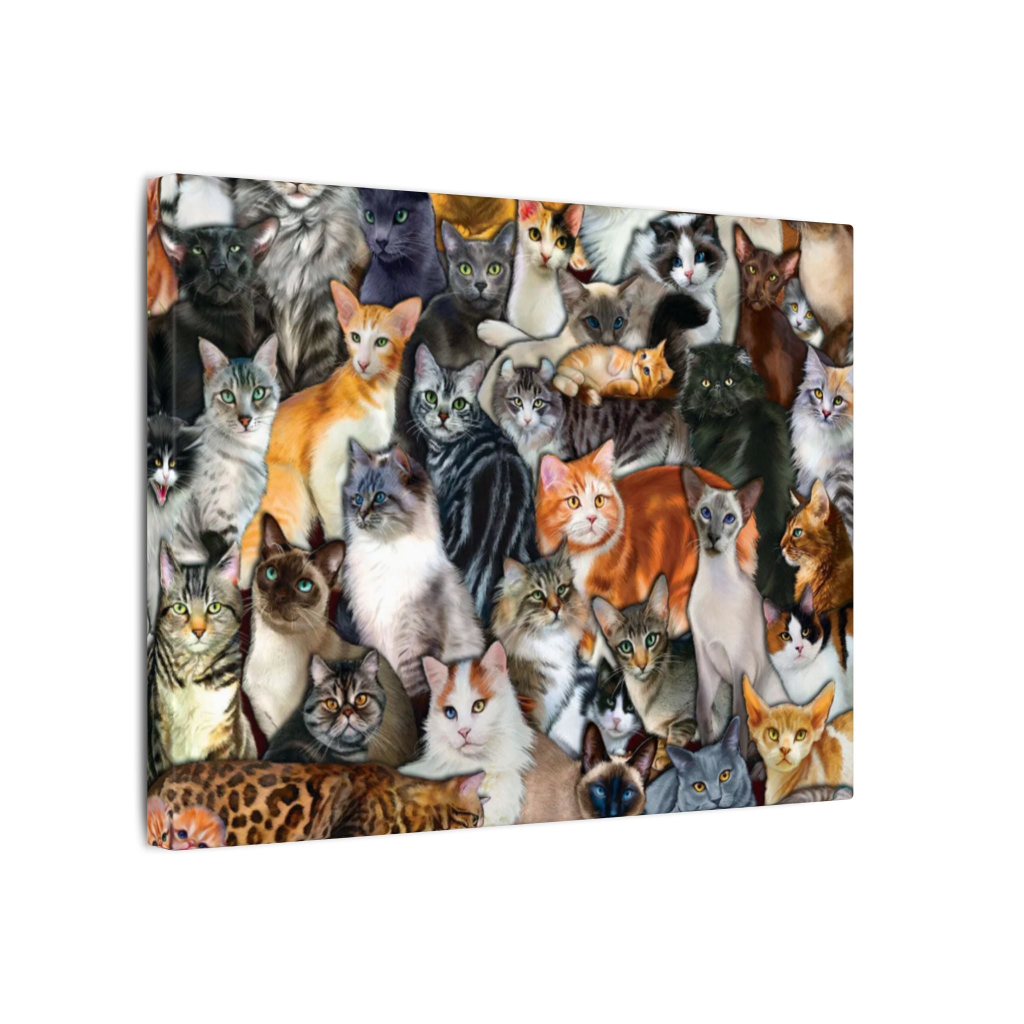 Cat Collage Canvas Wall Art | Colorful Cat Breeds Canvas Print | Cat Lover Gift | Kitten Wall Decor | Pet Lover Art  | 12" x 9"